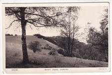 A Frith's Real Photo Post Card of Boxhill Slopes. DORKING. Surrey