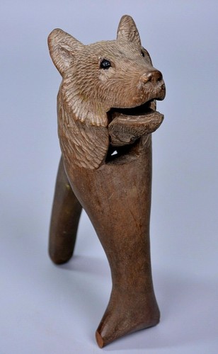 Black forest bear - bear, head