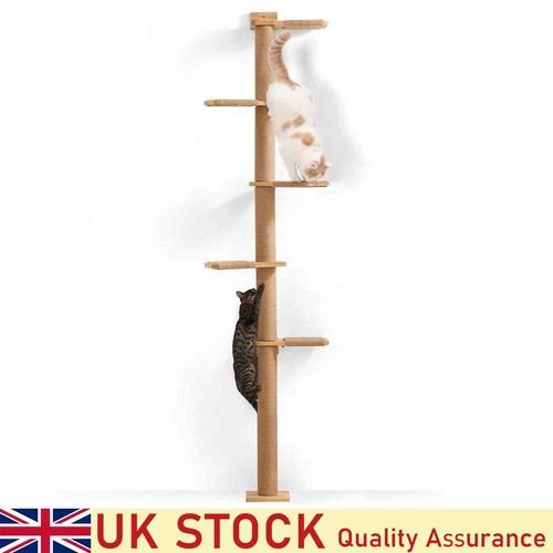 Tall cat tree 5tier floor - tall,