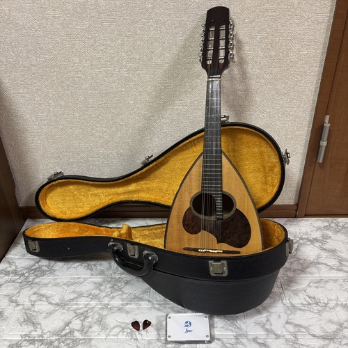 Suzuki mandolin japan - mandolin,