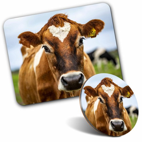 Mouse mat coaster set - mouse, &