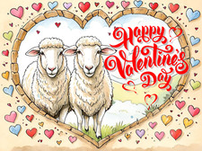 Sheep Valentine's Day Card
