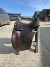 Ideal Rayleigh Show Saddle