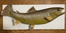 Brown Trout Wall mounted