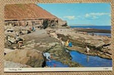 Filey Brigg Seaside Rockpools, Beach, Yorkshire, ETW Dennis Postcard 1979