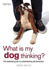 What is my Dog Thinking?: The essential guide to understanding your pet, Bailey,