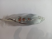 Robin On Feather Painting Wall