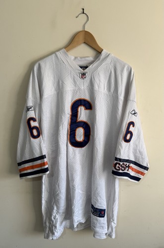 Chicago bears nfl - chicago, onfield