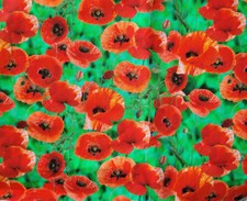 100% Cotton Fabric - LITTLE