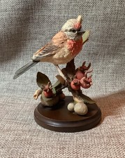 Country Artists Broadway Birds