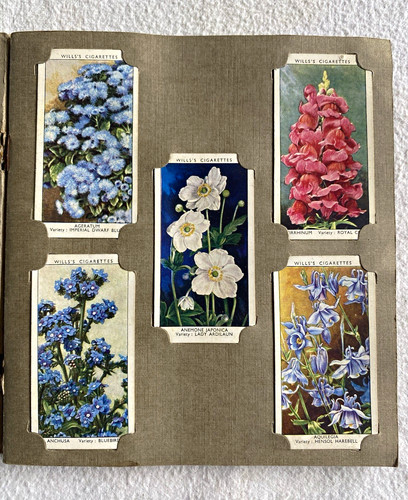 O wills flowers - w.d.,