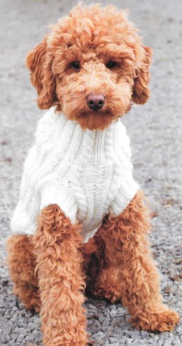 Home print knitting - home, pattern