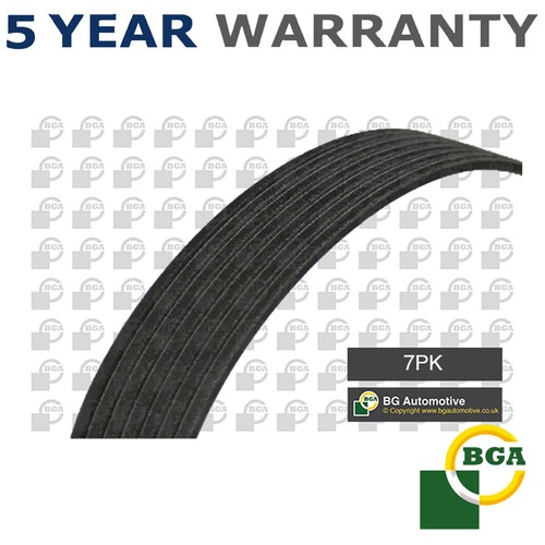 Bga ribbed drive belt - v,