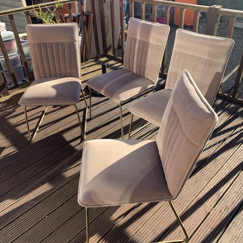 Next dining chairs - x,