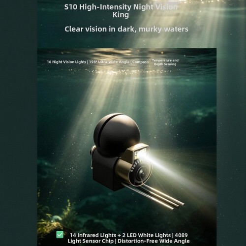 Underwater visual fishing - underwater,