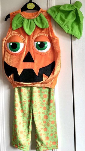 Babies orange pumpkin piece - pumpkin,