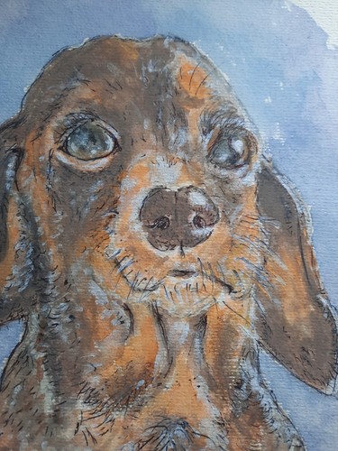Print copy dachshund - a, my