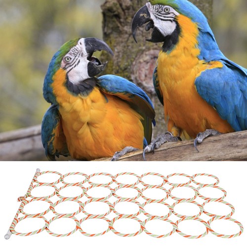 Bird rope climbing ladder - bird,