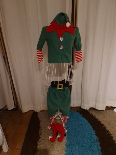 Child fancy dress - fancy, elf