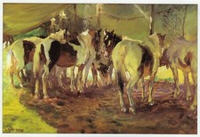 Circus Ponies in Shade, Lucy