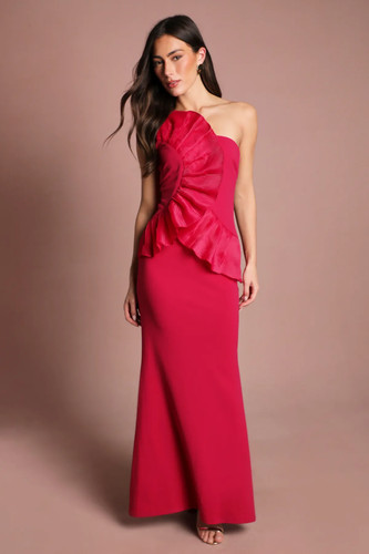 Coast raspberry maxi - coast, dress