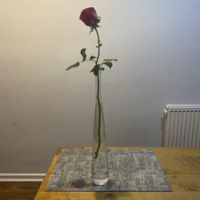 Vase Tall Single Stem / Bud -