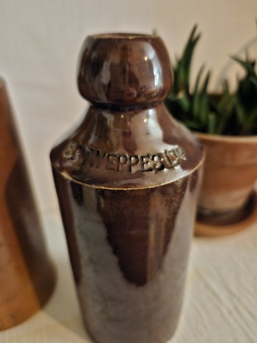 Antique stoneware schweppes - antique,