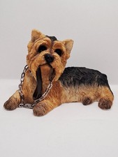 Yorkshire Terrier Dog by