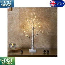 60cm white birch twig - birch,