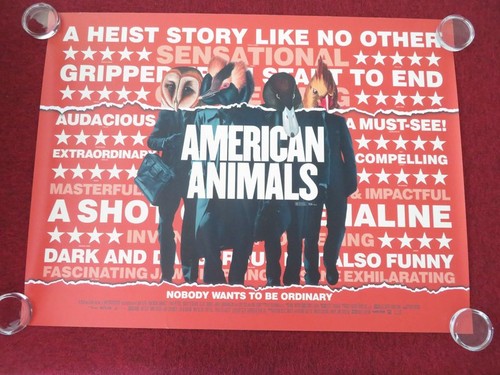 American animals quad - uk,