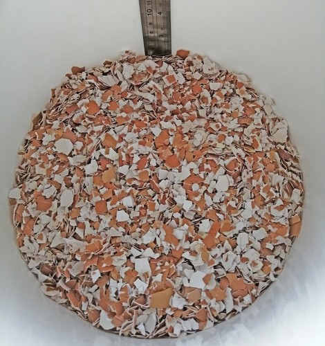 Crushed chicken egg shell - chicken, /