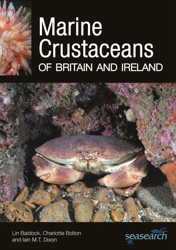 Marine crustaceans britain - crustaceans, of