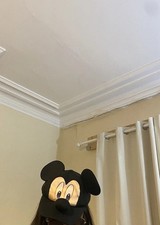 Kids  Boys Girls Mickey Mouse Ears Snapback ..