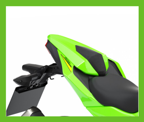 Genuine kawasaki ninja 125 - genuine,
