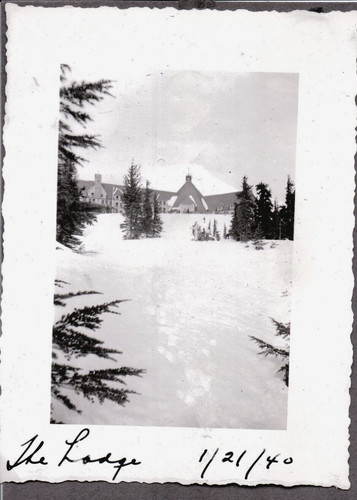 Vintage photograph skiing ski - vintage,