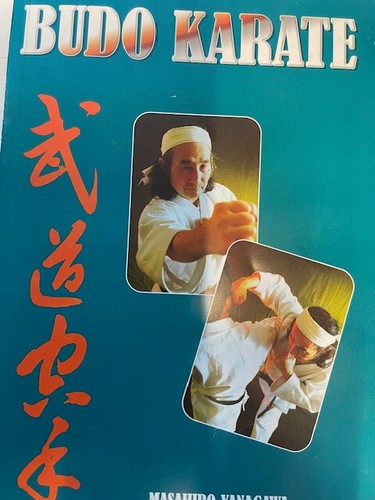 Budo karate masahiro - by,
