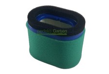 Air Filter for Briggs &