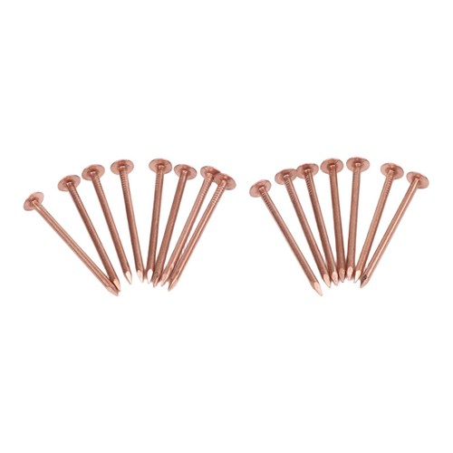 Copper nails 2inch - nails,