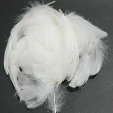 100-1000X Small Fluffy Marabou Feathers 8-12cm Card Making Crafts Embellishments