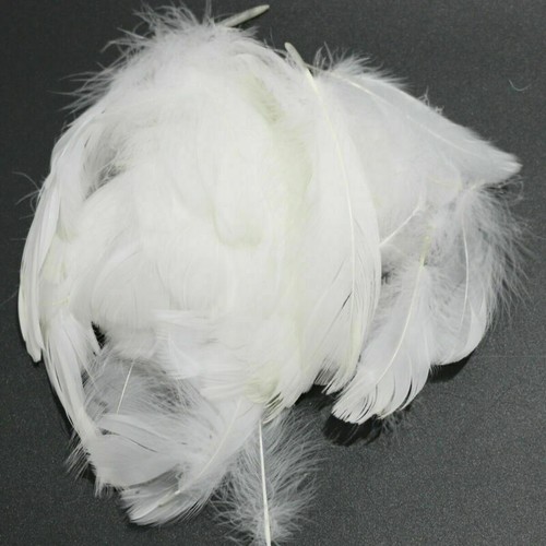 100 1000x small - fluffy, marabou