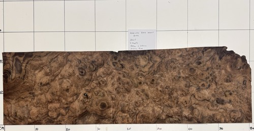American black walnut burr - black,