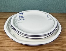 Set Of Royal Doulton 1989 Vintage MINERVA porcelain Plates; 1x8” & 3x6.5” Irises