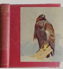 1919 A NATURALISTS SKETCHBOOK