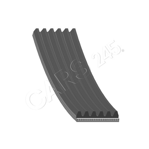 Ribbed belt blue - v-ribbed,
