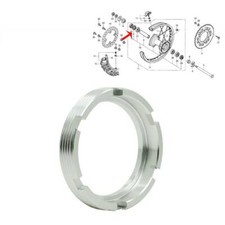 Rear Wheel Bearing Retainer
