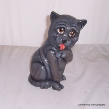 PETS WITH PERSONALITY - His