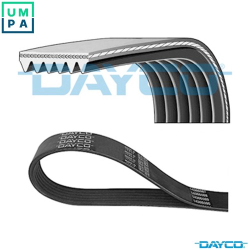 Vribbed belt 6pk1710 for - belt,