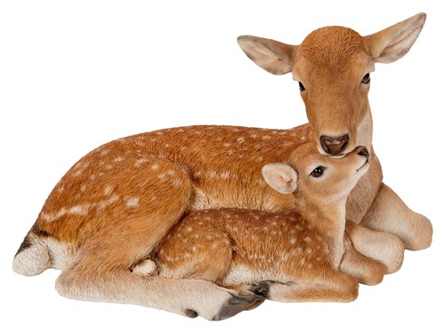 Deer fawn mother baby - deer, &
