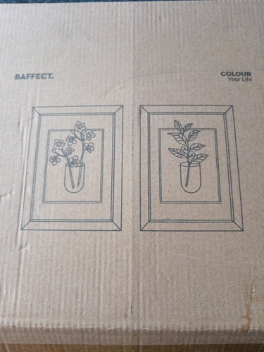 Wall frame for flowers and - wall,