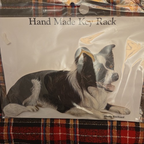 New border collie - border, wall
